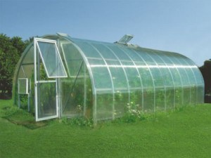 Hogyan hozzunk létre egy eper üvegházban üzleti