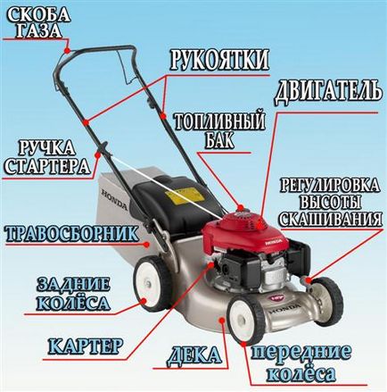 Hogyan válasszuk ki a elektromos fűnyíró, így Hogyan válasszuk ki a elektromos fűnyíró, így