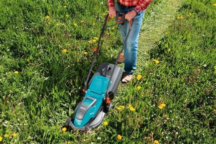 Hogyan válasszuk ki a fűnyíró Elektromos Board