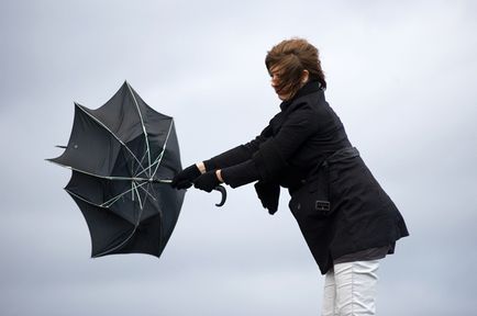 Hogyan válasszuk ki a megbízható esernyő, segítsen, kérdés-válasz, érveket és tényeket