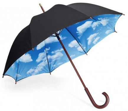 Hogyan válasszuk ki egy esernyő információs projekt, hogyan kell választani