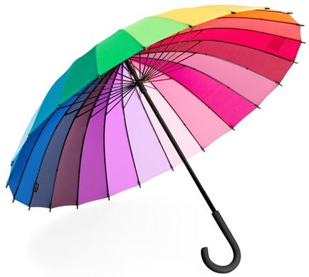 Hogyan válasszuk ki egy esernyő információs projekt, hogyan kell választani