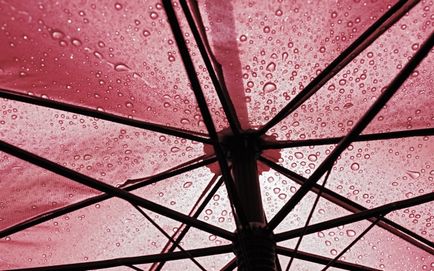 Hogyan válasszuk ki egy esernyő - nagyon jó tanácsokat