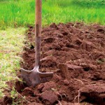 Hogyan savanyított talaj