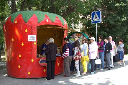 Eper otthoni üzleti (üvegházi termesztés eper kör) Eper otthoni üzleti