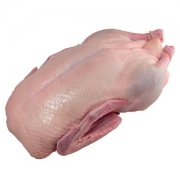 Főtt csirke bzhu (fehérje-, zsír-, szénhidrát-), kalória, tápértékét és