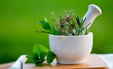 Herbal kezelés tudni vitaportal - Health and Medicine