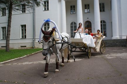 Lovak esküvő, lovas klub „bíboros” (ló) Lovak esküvő, lovas klub „sarkalatos”