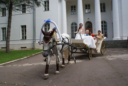 Lovak esküvő, lovas klub „sarkalatos”