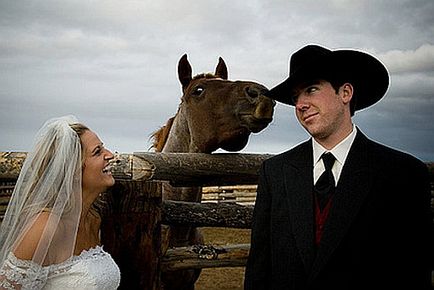 ló esküvő
