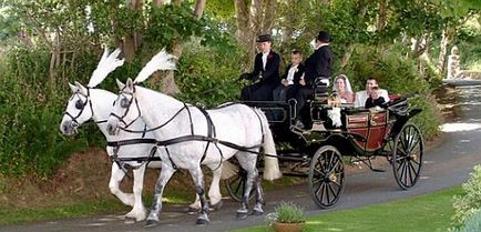 ló esküvő