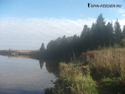 Tench horgászat a tó - Tippek a személyes tapasztalat,