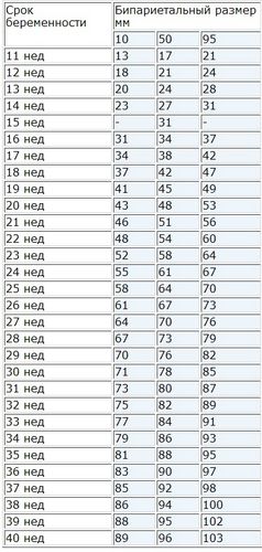 LZR magzat hétről hétre chart, terhességi hét