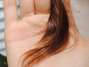 Olaj végződik haj nők visszajelzést a helyreállítása száraz és törékeny ötletek