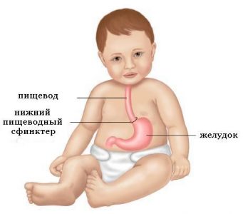 Újszülött gyakori csuklás, miért, mit kell tenni, hogyan lehet segíteni a gyermek megbirkózzon csuklás