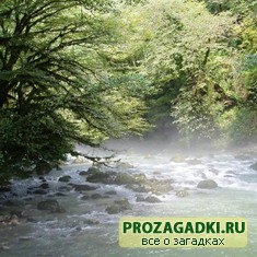 Hol volt a víz gyermekek rejtvények, játékok, charades, történetek és még sok más várja Önt barátságos és (ezért) Hol volt a víz gyermekek rejtvények, játékok, charades, történetek és még sok más várja Önt barátságos és