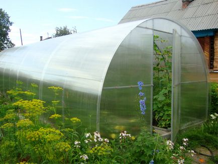 Üvegházak uborka saját kezűleg az utasítás gyártási