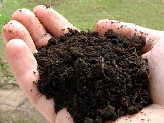 a talaj termékenységét
