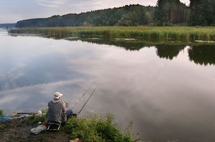 Miért nem harap ponty a fő tényezők hiánya harapás