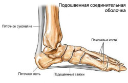 Miért van fájdalom a láb járás közben és nyugalmi