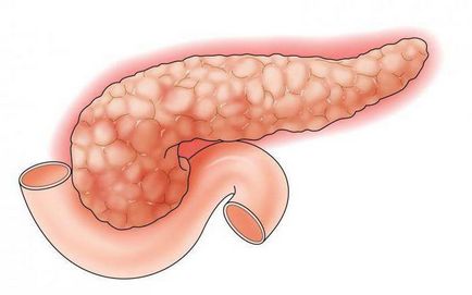 Hasnyálmirigy anatómiája és funkciója a betegség