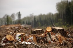 A folyamat a kutak fúrása módszerek, szövődmények