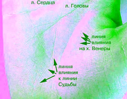 Megfejtése kéz vonalak a tenyér sorsod
