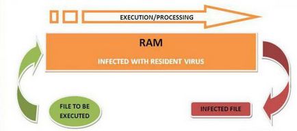 Resident vírusok, és hogyan lehet elpusztítani 1