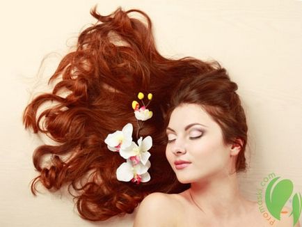 Sampon haj növekedésre aktivátorok legjobb a gyors hatás