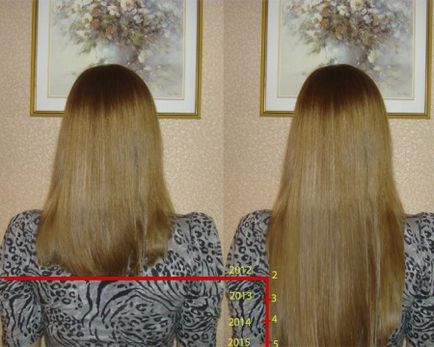 Mi az átlagos haj nő havonta