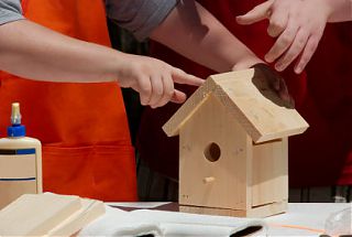 Madárház saját kezűleg típusait és jellemzőit gyártási birdhouses