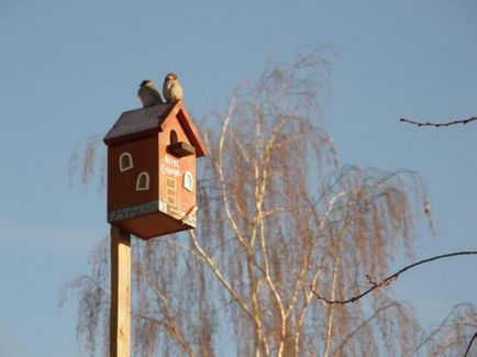 Madárház saját kezűleg típusait és jellemzőit gyártási birdhouses