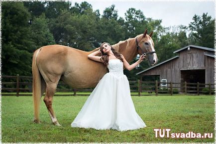 Esküvői fotózást lovakkal - esküvői portált Wedding