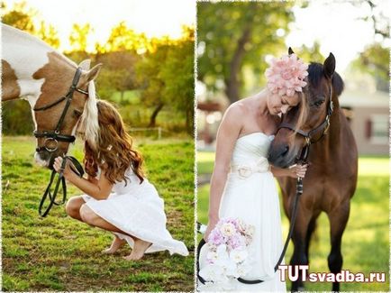 Esküvői fotózást lovakkal - esküvői portált Wedding