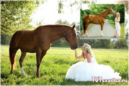 Esküvői fotózást lovakkal - esküvői portált Wedding