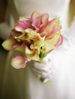 Esküvői szenvedély - a boldogság a kezében szépség - esküvői enciklopédia