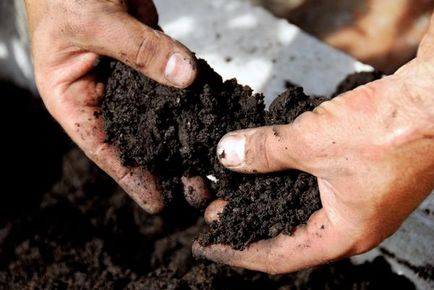 A talaj típusától, hogy hogyan és miért van szükség