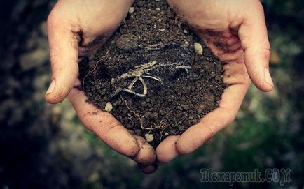 A talajtípus a területen -, hogyan kell meghatározni, és javítja a szerkezet