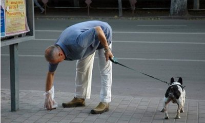 Megtisztítása után a kutyákat, a cikk