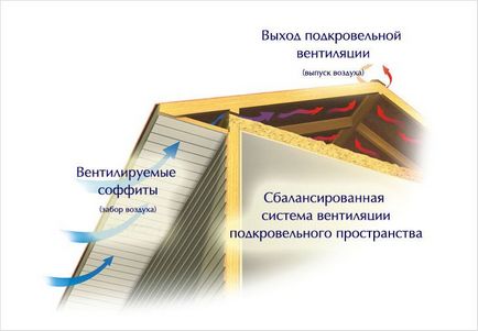 Options Binder eresz - eresz bejelentés