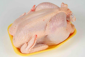 Termesztés és tenyésztés csirkék otthon végrehajtásához