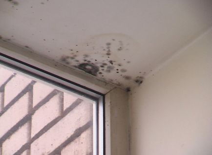 Páratartalom a lakásban sebesség, hogyan kell mérni a páratartalom a szobában, némi nedvesség (pára) Páratartalom a lakásban sebesség, hogyan kell mérni a páratartalom a szobában, néhány páratartalom
