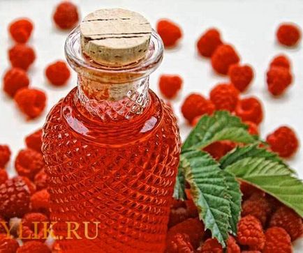 Berry tinktúra alkohol vagy vodka otthon receptek feltételek