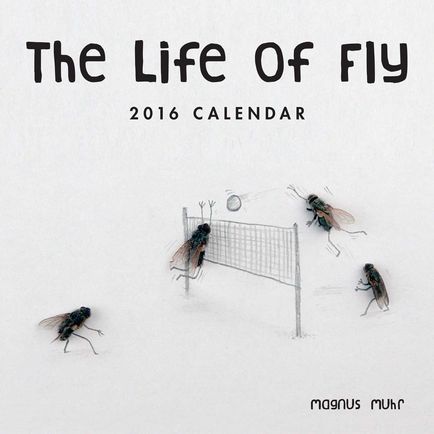 12 legbizarrabb naptárak 2016. időtúllépés