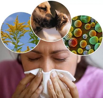Allergia kezelése otthon