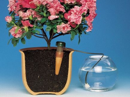 Automata öntözés virágok, míg a nyaralás néhány egyszerű és hatékony módszerekkel