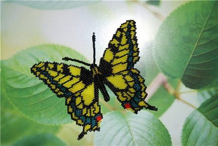 Butterfly gyöngy műhely és a szövés rendszert
