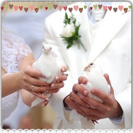 Fehér galamb esküvői néphagyomány, a jelek, a madarak indul