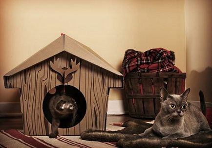 Üzleti ötlet az otthoni termelés házak és kogtetochek macskáknak