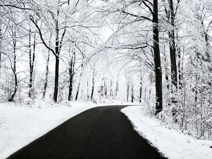 Mit és hogyan kell fényképezni téli havas időjárás, lesz egy fotós, hogy a fotós!